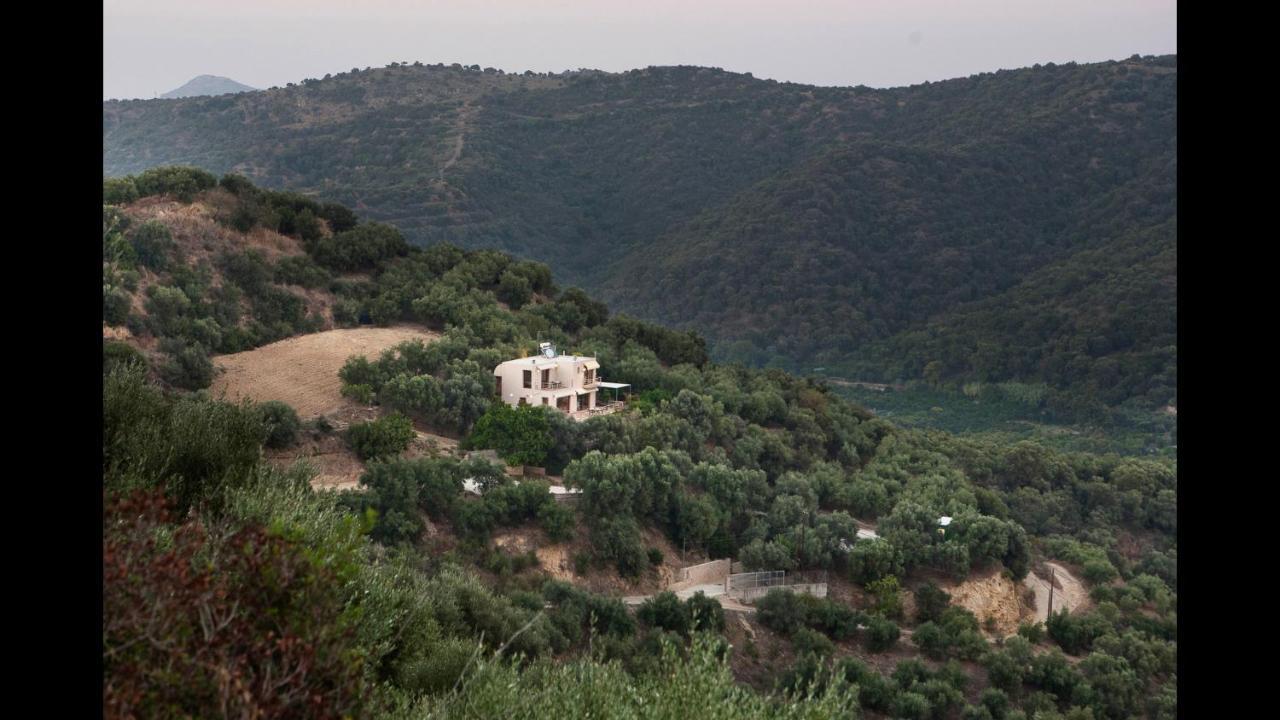 Villa Orgoni Patellari المظهر الخارجي الصورة