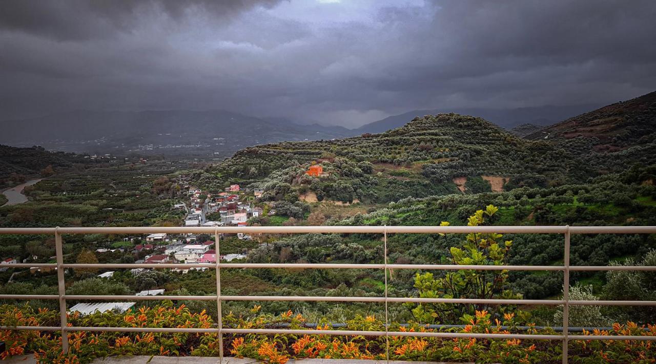 Villa Orgoni Patellari المظهر الخارجي الصورة