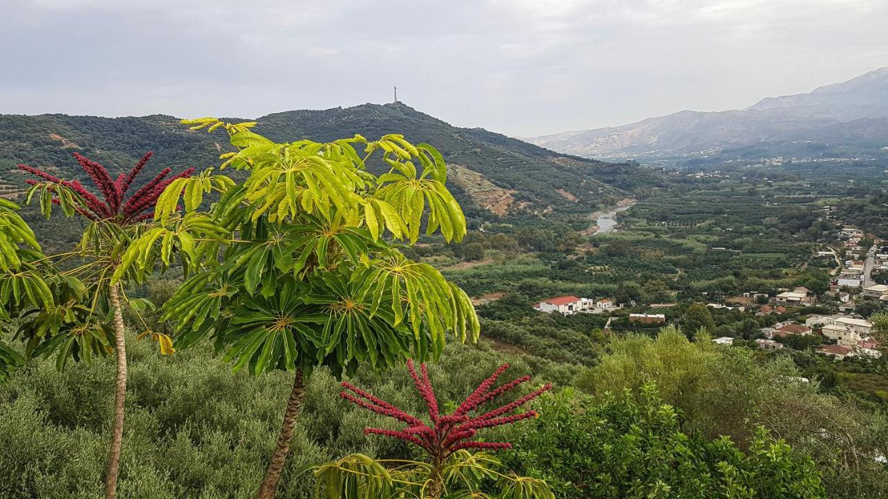 Villa Orgoni Patellari المظهر الخارجي الصورة