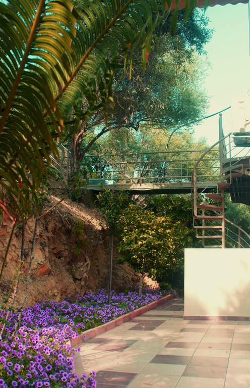 Villa Orgoni Patellari المظهر الخارجي الصورة